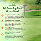 Outsidepride T-1 Creeping Bentgrass Seed - 5 lbs Fine-Bladed, Premium Quality Turf, Grass Seed for Smooth Surface, & High-Traffic Areas, Ideal Grass for Golf Courses Putting Greens, & Fairways