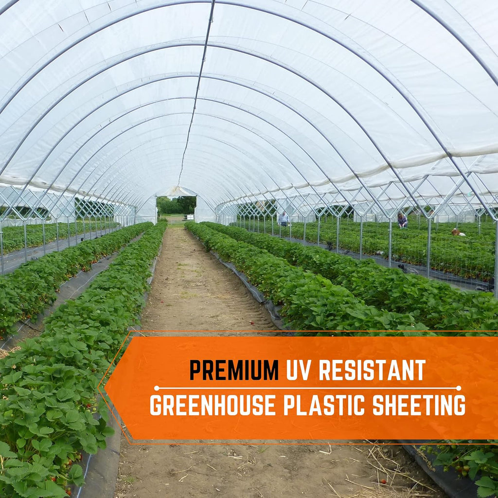 Farm Plastic Supply - Clear Greenhouse Plastic Sheeting - 6 mil - (25' x 75') - 4 Year UV Resistant Polyethylene Greenhouse Film, Hoop House Green House Cover for Gardening, Farming, Agriculture