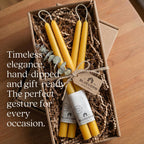 Bluecorn Beeswax Taper Candles, 12 Inch Terracotta, 2 Count | 100% Pure Natural Bees Wax, Clean Burning & Dripless, Fragrance Free, Long Lasting, American Made