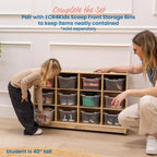 ECR4Kids 12 Cubby Mobile Tray Storage Cabinet, 3x4, Classroom Furniture, Natural | Durable birch, GREENGUARD Gold Certified, 12 cubbies with 4 casters for mobility, organize supplies in a classroom or home