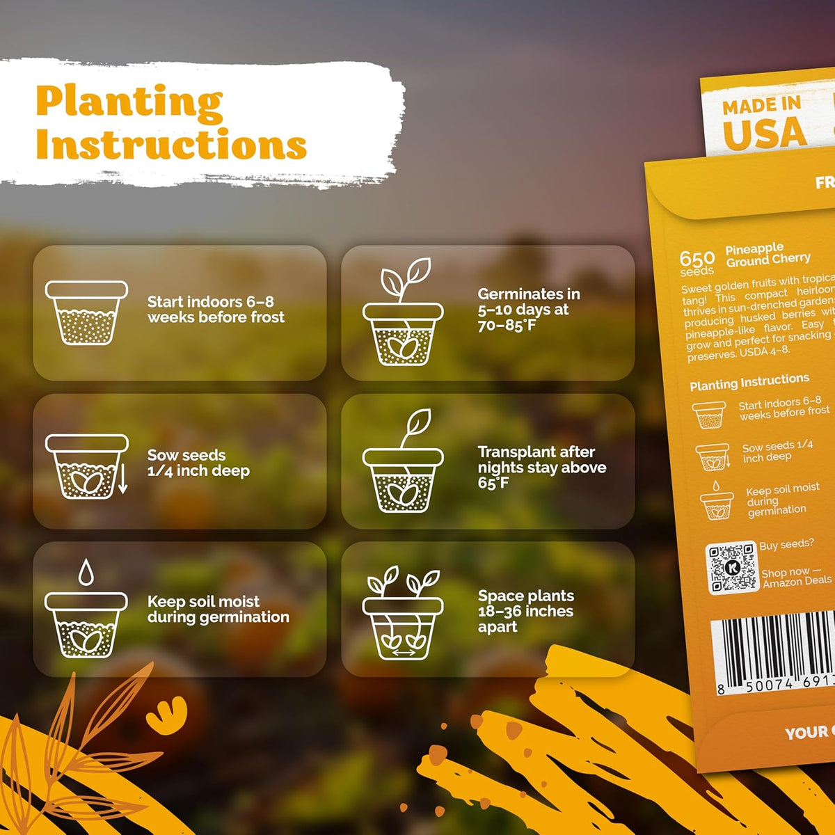 KVITER 650 Aunt Molly Ground Cherry Seeds for Planting (Physalis pruinosa) – Non GMO & Heirloom Pineapple Ground Husk Cherry Tomatoes, Organic Fruit Seeds – Tropical Flavor Berries