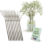 Plant Support Stakes, Stem Holder Structures for Indoor & Outdoor Use, Garden Accessories for Climbing & Potted Plants, Trellis Alternative - Moonstone, 10 Pack, 22" L, Original