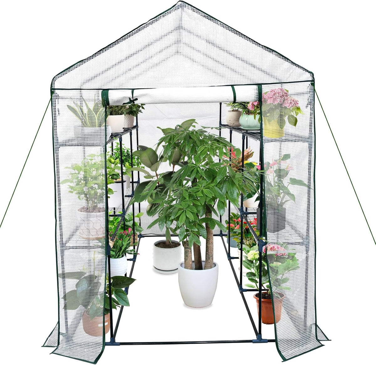 Greenhouse for Outdoors,Walk in 3-Tier 9 Shelves Green House w/ Roll-Up Zippered Door Anchors and Ropes,Waterproof & UV Protected Plant Garden Hot House for Garden Patio Backyard,57 x 85 x 76''
