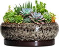 Succulent Pots 10 Inch - Ceramic Bonsai Pots with Drainage Hole and Tray, Large Succulent Planters, Shallow Planter Indoor, Round Planter Bowl, Window Decor, Gifts for Plant Lovers, White