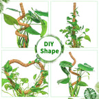 2 Pack Moss Pole, 35.4-Inch Moss Poles for Plants Monstera,Bendable Plant Support Stakes for Climbing Plants Indoor, Garden Trellis Plant Stick for Potted Plants, Pothos Philodendron