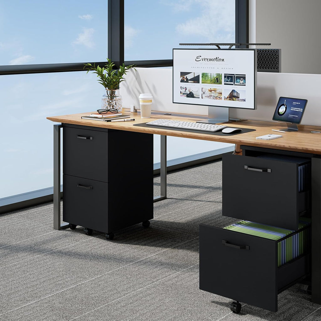 DUMOS 2 Drawer Filing Cabinet, Rolling Wood File Cabinet for Home Office, Under Desk Storage with Lockable Wheels, Printer Stand, Office Organizer, Black