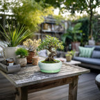 Succulent Pot 6 Inch - Ceramic Bonsai Pots Indoor Outdoor, Shallow Plant Pots with Drainage Hole and Saucer, Small Bonsai Planter, Round Bowl Planter, Desk Decor, Housewarming Gifts, Green