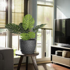 12/10/9 Inch Plant Pots, 3 Pack Large Flower Pots for Indoor and Outdoor Plants with Water Ripples, Large Plastic Flower Pots with Drainage Holes and Tray for Garden Indoor Plants