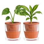 D'vine Dev 4 Inch Design Self Watering Pot for Indoor Plants, Terracotta Planter with Cylinder Glass Cup, Set of 2, 37-Y-A-1