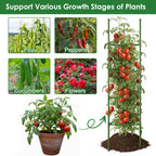 CEWOR 3 Pack Extra Tall Tomato Cage, 63 Inch Adjustable Tomato Trellis | Large Tomato Cages for Garden, Plant Cages Structure Triangle Stakes for Raised Garden Bed, Climbing Plants Outdoor