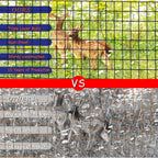 Black Metal Garden Fence, 48inch(H) x 100ft(L), 2 inch x 4 inch,12.5GA 2/3/4/5/6 Ft Tall Chicken Wire PVC Coated Welded Wire Mesh Roll for Dogs Border Yard Vegetable Plant Protection Poultry Netting