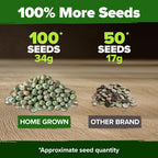 HOME GROWN - Snap Pea Seeds for Planting - Organic, Heirloom Cascadia Variety - 100 Non-GMO Vegetable Seeds - Cool Season Crop for Containers - Sweet Flavor, Fast Germination (Pisum sativum)