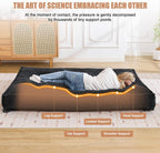 Futon Mattress Queen Size 8",Foldable Floor Mattress (Frame Not Included) | Futon Sofa Bed Thick High Density Shredded Foam,Medium Firm Japanese Style Sleeping Pad for Guest Bedroom Living,Black