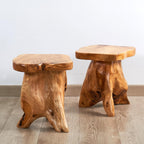 Greenage Cedar Roots Mushroom Accent Stool 12" x 15" x 13.5" Height Natural Wood Side Table Home Décor Rustic Plant Stand Accent Tree Stump Stool End Table for Living Room Live Edge Table