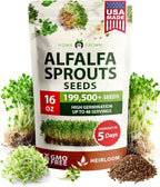 HOME GROWN 𝗨𝗦𝗔 𝗣𝗥𝗘𝗠𝗜𝗨𝗠 Alfalfa Sprout Seeds 16oz Bulk Pack with Thousands of Seeds 𝗡𝗢𝗡-𝗚𝗠𝗢 Alfalfa for Sprouting & Microgreens Indoor Outdoor Growing Resealable Bag High Germination