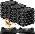 Qualirey 18 Pack Scorpion Glue Tray Traps, Adhesive Scorpion Killer Indoor, Pet and Children Safe, Repellent, Insect Traps Indoor, Sticky Bug Catcher for Basement, Bathrooms and Garage