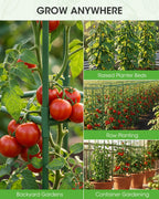 MQHUAYU 3 Pack Tomato Cages,Square Tomato Plant Stakes Support Cages Trellis for Garden Climbing Vegetables Flowers Fruits,Extra Bold