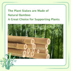 Bamboo Stakes 8FT, 8 Feet Natural Bamboo Plants Stakes, 1" D Thicker Heavy Duty Garden Stakes 10 Pack for Tomatoes, Beans, Flowers, Potted and More Climbing Plants