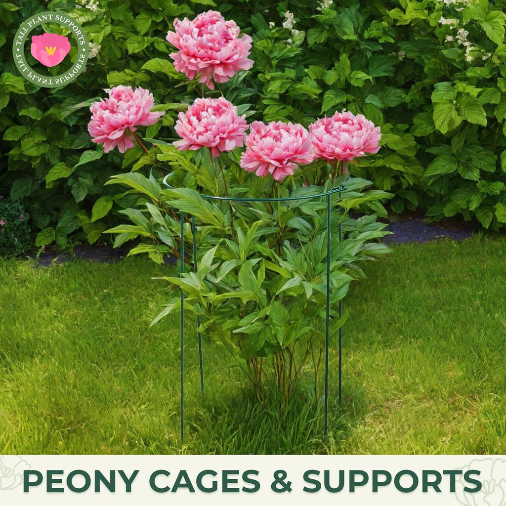 LEOBRO Plant Support, 8 PCS Peony Cages and Supports, Plant Stakes, Plant Supports for Indoor Plants, Outdoor Plants, Monstera Hydrangea Support Cage, 10" W x 24" H