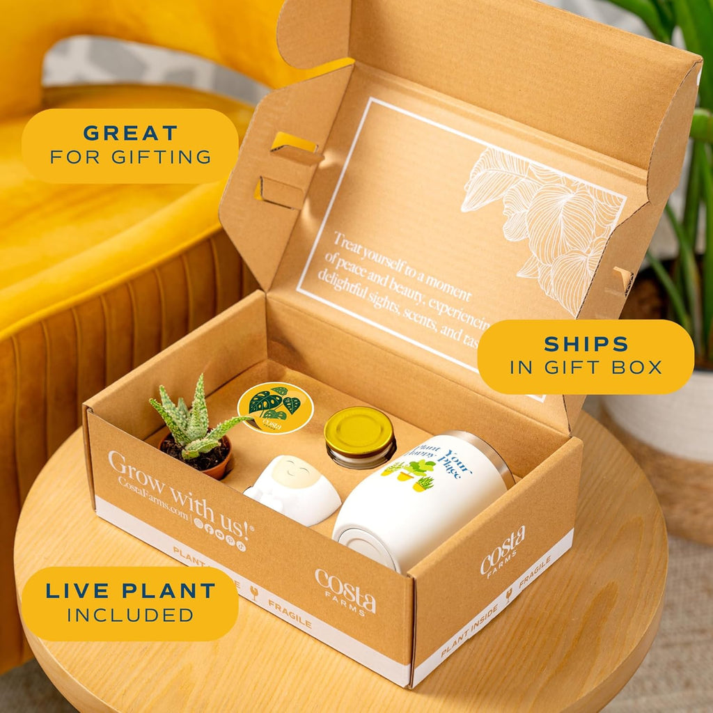 Costa Farms Live Plant Gift Box, Succulent Live Indoor Houseplant, Perfect Birthday and Holiday Gift, Includes Mini Succulent, Insulated Tumbler, Soy Candle, Collectible Sticker, Cute Room Decor