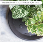 Plant Saucer 6 Pack Drip Trays Planter Pot Base Heavy Duty Plastic Drainage Tray for Indoor Houseplants Outdoor Garden 5 inch 8 inch 11 inch 3 Sizes 2 Each Round (Brownish Black)