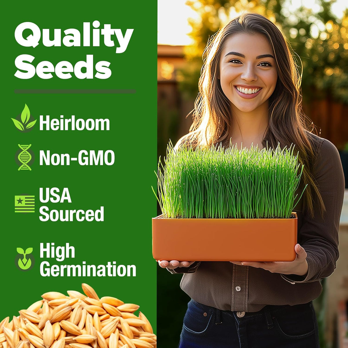 HOME GROWN 12,000+ Wheatgrass Seeds Bulk Pack(1.5 lb) 𝗡𝗢𝗡-𝗚𝗠𝗢 𝗨𝗦𝗔 Hard Red Winter Wheatgrass – Heirloom, Sprouting for Juicing, Microgreens, Smoothies & Indoor Gardening(Triticum aestivum)