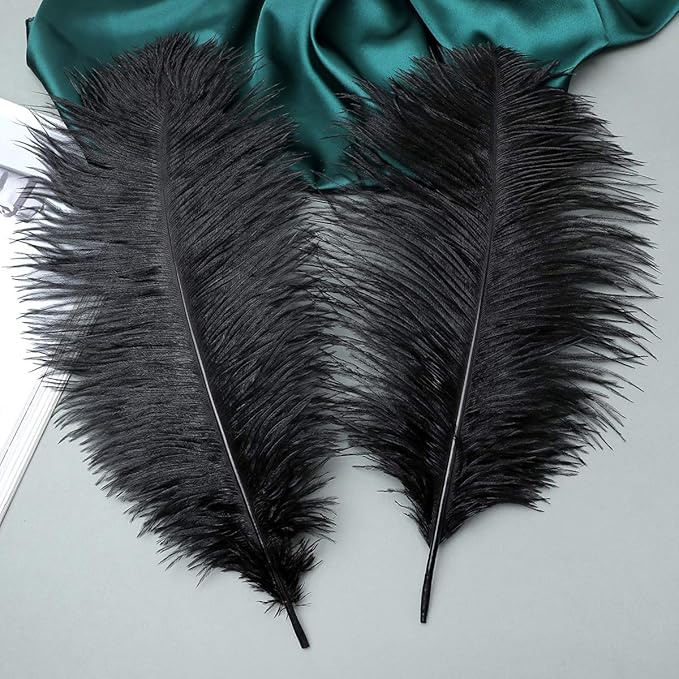 Ballinger Black Large Ostrich Feathers - 24Pcs 12-14inch Large Feathers for Vase,Gatsby and Halloween Party Centerpieces