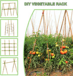 Bamboo Plant Stakes – 25pcs 4FT Natural Bamboo Garden Stakes for Tomatoes, Peppers, Beans, Indoor & Outdoor Plants, Sturdy Plant Support for Seedlings & Potted Plants