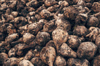 Sugar Beet Seeds for Planting – Plant & Grow Heirloom Sugar Beets in Home Outdoor Vegetable Garden, Beta vulgaris – 5 Packets
