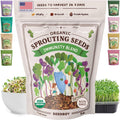 Seedboy Organic Non-GMO Sprouting Seeds, Immune System Booster - USA Grown Microgreens Mix with Broccoli, Purple Radish, Alfalfa - 8 oz Bag Makes 8 Quarts / 24 Servings (Immune System Booster Blend)