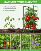 MQHUAYU 3 Pack Tomato Cages,Square Tomato Plant Stakes Support Cages Trellis for Garden Climbing Vegetables Flowers Fruits,Extra Bold
