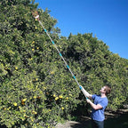 COCONUT Fruit Picker Pole with Basket Telescoping, 10 FT Fruit Picker Tool for Mango Orange Lemon Apple, Fruits Catcher Tree Picker for Getting Fruits