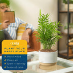 Costa Farms Parlor Palm, Neanthebella Tropical Live Plant, Easy to Grow Palm Houseplant Potted in Décor Plant Pot, Unique Plant Lover Gift, Living Room Home and Office Décor, 1 Foot Tall