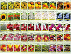 Set of 1000 Flower Seed Packets - Flower Seeds in Bulk - 15 or More Varieties Available - Great for Creating Colorful Gardens (1000)
