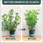 TCBWFY 10 Pack Plant Support Stakes for Peony,10" Widex16 High Heavy Duty Peony Cages and Support,Metal Peony Supports for Outdoor Indoor Plants,Plant Supports for Peony,Tomatoes,Hydrangea,Rose