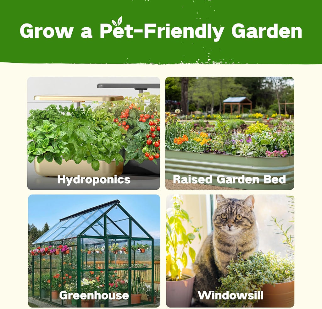 Lush&Dew Pet-Friendly Heirloom Seed Bank, Gardening Gifts for Women Men, 16 Varieties 15,000+ Non-GMO Seeds for Planting Herbs Flowers Vegetables in Raised Bed Windowsill, Annuals & Perennials
