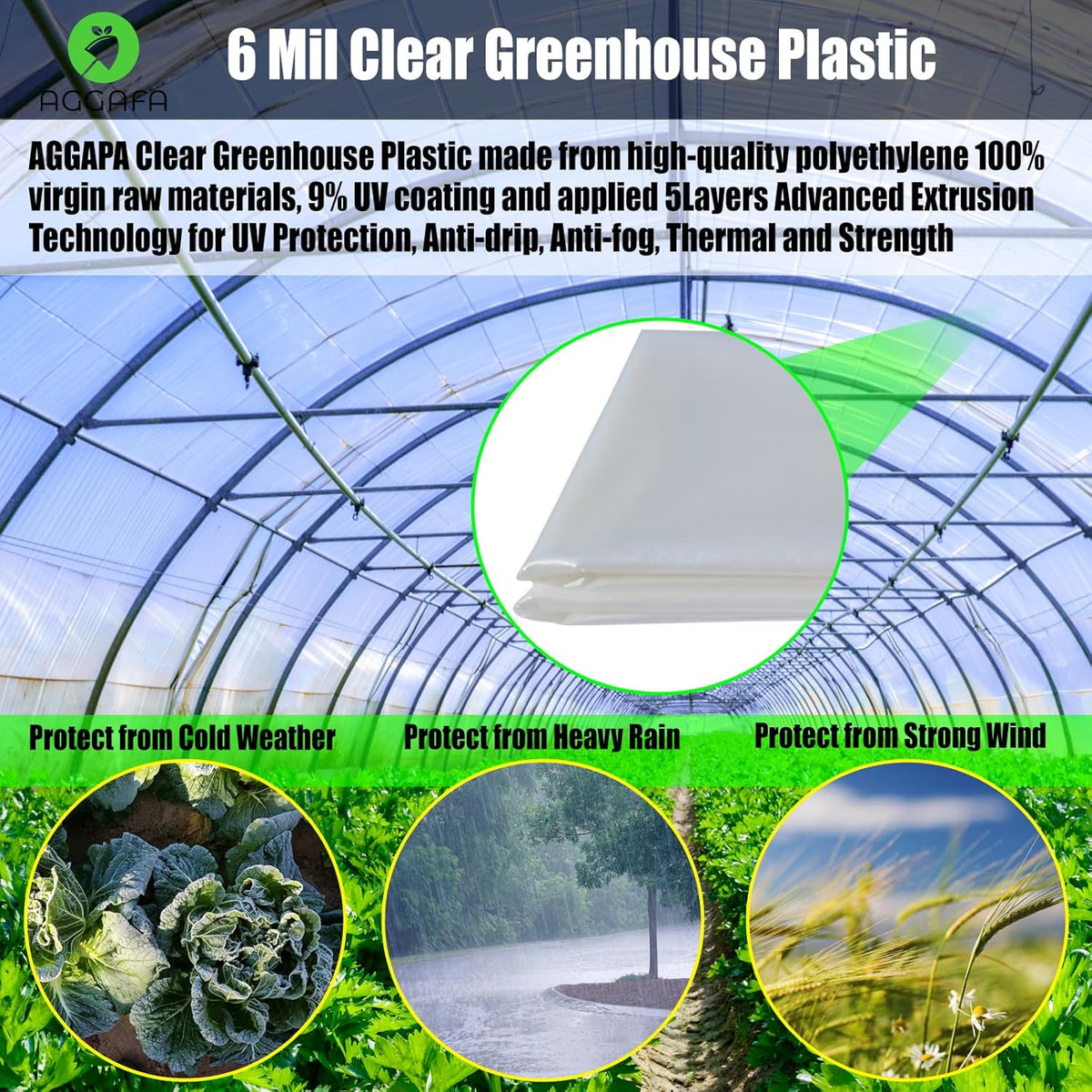 6 mil (10ft x 15ft) 100% Virgin Material. 5Layers Advanced Extrusion Technology for UV Protection, Anti-drip, Anti-Fog, Thermal and Strength. 4Years Lifetime UV Resistant Greenhouse Plastic