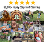 Herb Supplement for Backyard Chickens - Natural Chicken Treats, Poultry Feed Botanical Mix, Plant-Based Coop Snacks for Daily Wellness, Feather Quality, Egg Production, USA (20 LB)