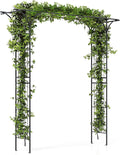 SAFSTAR 81-Inch Garden Arch, Metal Arbor Archway for Climbing Plants, Decorative Lawn Arbor, Heavy-Duty Arch Trellis for Climbing Plants Outdoor Wedding Ceremony Party Backyard
