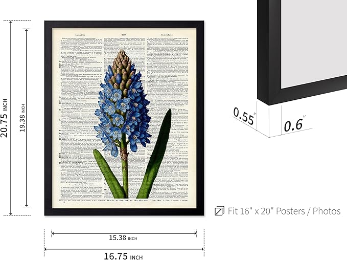 Poster Master Dictionary Art Poster - Blue Hyacinth Print - Flower Art - Floral Art - Gift for Men, Women & Florist - Minimal Decor for Bedroom, Office, Dorm or Flower Shop, 16x20 Black Framed