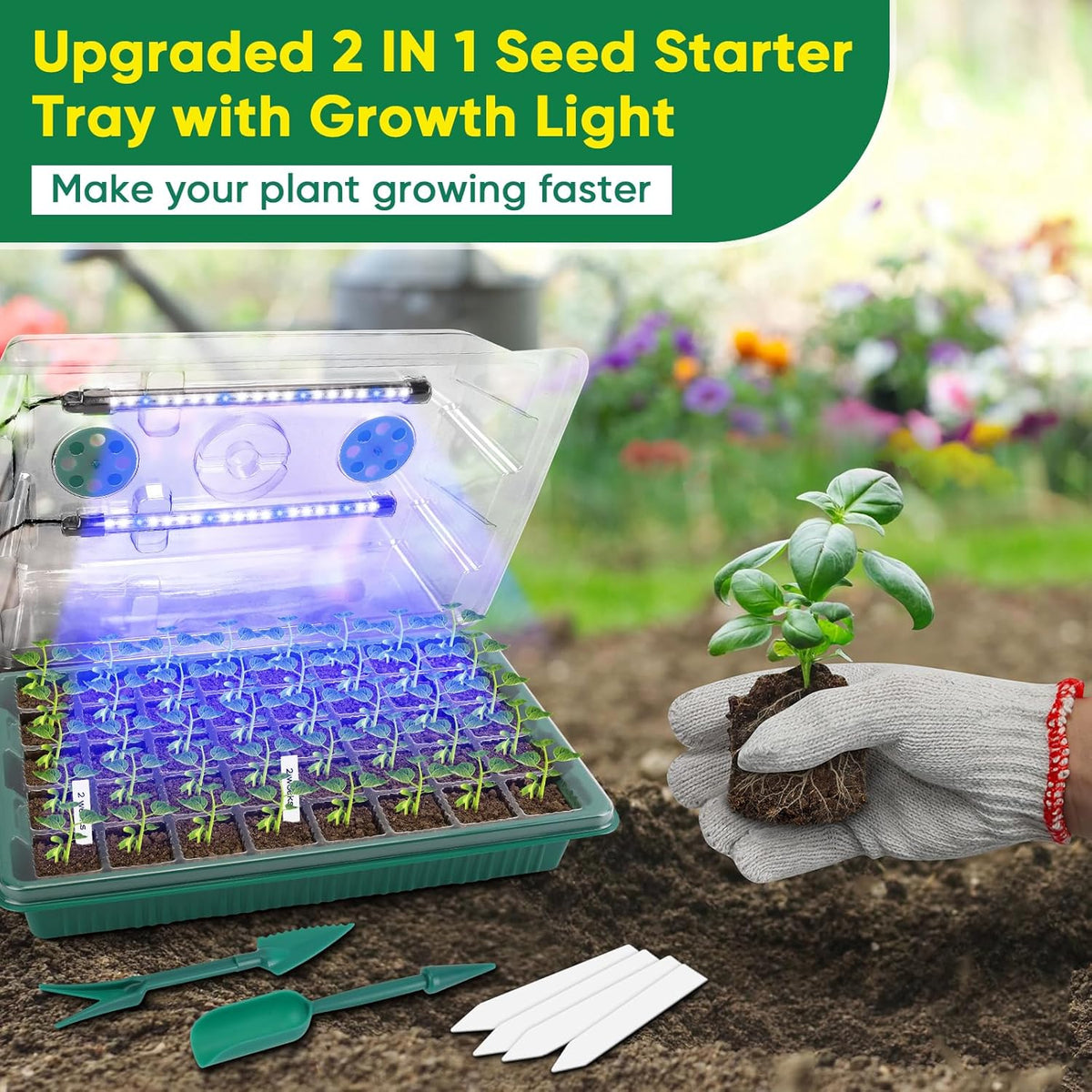 BlumWay Seed Starter Tray with Grow Light,4 Pack 160 Cells Seedling Tray with Humidity Dome/Indoor Grow Kit for Deep-Rooted Seedlings,Adjustable/Timed Light Plant Starter Set