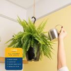 Costa Farms Boston Fern Live Plant in Plastic Pot, Air Purifying Large Indoor & Outdoor Houseplant, Perfect for Home, Room, or Office Decor, Great House Warming or Birthday Gift, 2-3 Feet Tall