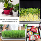 5 Pack Large Stainless Steel Seedling Trays, Heavy Duty Metal Water Catch Trays for Nursery Pots-Transplant, Seed Germination & Propagation Flats (17.5 inch×13.56 inch, 1.18" Height)