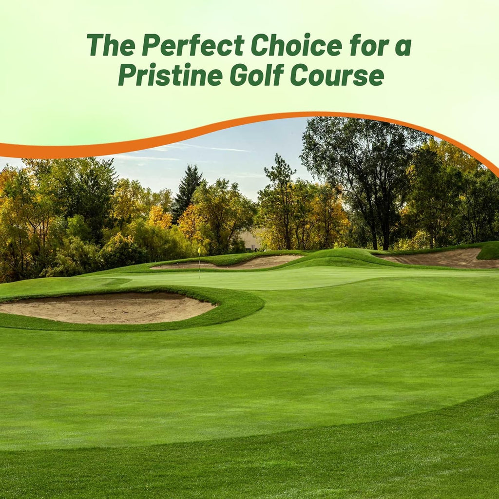Outsidepride V8 Creeping Bentgrass Seed - 5 lbs. Fine-Bladed, Premium Quality Turf, Grass Seeds for Smooth Surface, & High-Traffic Areas, Ideal Grass for Golf Courses Putting Greens, & Fairways