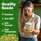 HOME GROWN Mung Beans Seeds Pack 1.5 lb – 𝗨𝗦𝗔 Over 15,000 Sprouting Seeds – Grow Fresh Mung Bean Sprouts or Microgreens for Quick, Easy, Nutrient-Packed Food for Your Daily Meals (Vigna Radiata)