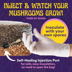 2 LB 2-Pack All-in-One Grow Bag: Up to 32oz of Mushrooms! Nutrient-Enhanced, Injection Port, Just Add Your Own Spores & Grow Like Magic (2 x 2 LB Bags)