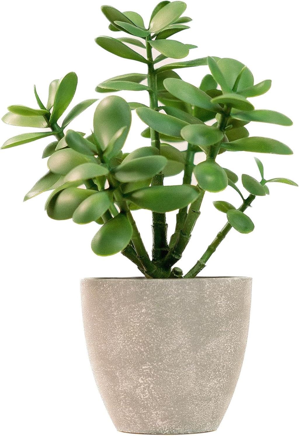 365 Blooming Decor Artificial Jade Plant 12 inch in Gray Pot for Home, Office Decor, Money Tree, Crassula ovata (Gray Pot, 12 inch)
