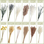 500PCS Dried Pampas Grass Bouquet – Boho Dried Flowers for Vase, White & Brown Pampas, Bunny Tails, Eucalyptus, Wheat & Lavender – Natural Floral Decor for Home, Wedding, Baby Shower &Photoshoot Props