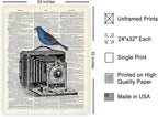 Poster Master Dictionary Art Poster - Antique Camera Print - Bird Art - Photography Art - Gift for Men, Women & Photographer - Chic Decor for Living Room, Bedroom or Office, 24x32 Unframed Wall Art