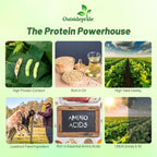 Outsidepride Soybean Seeds - 25 lbs High-Protein & High Yield Heirloom Variety Soy Beans, Ideal for Oil Processing, Forage, Animal Food Plots, & Wildlife Feed for Poultry & Other Farm Animals